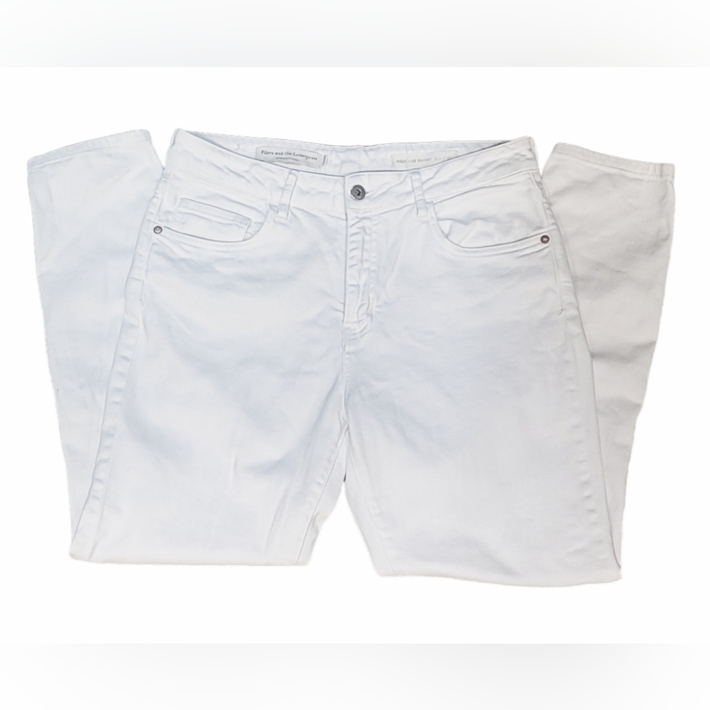 Pilcro and the Letterpress by Anthropologie | High Rise Skinny Jeans | Size: 30